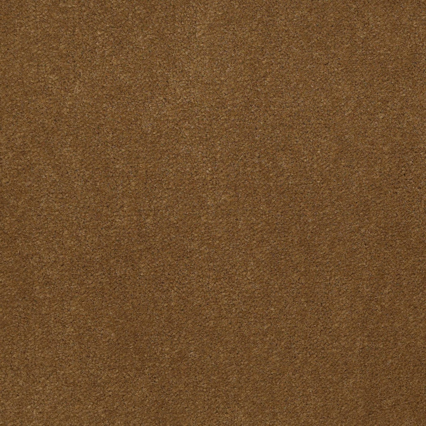 CUT PILE SOLID