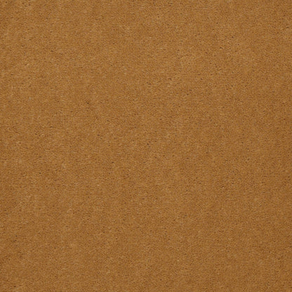 CUT PILE SOLID