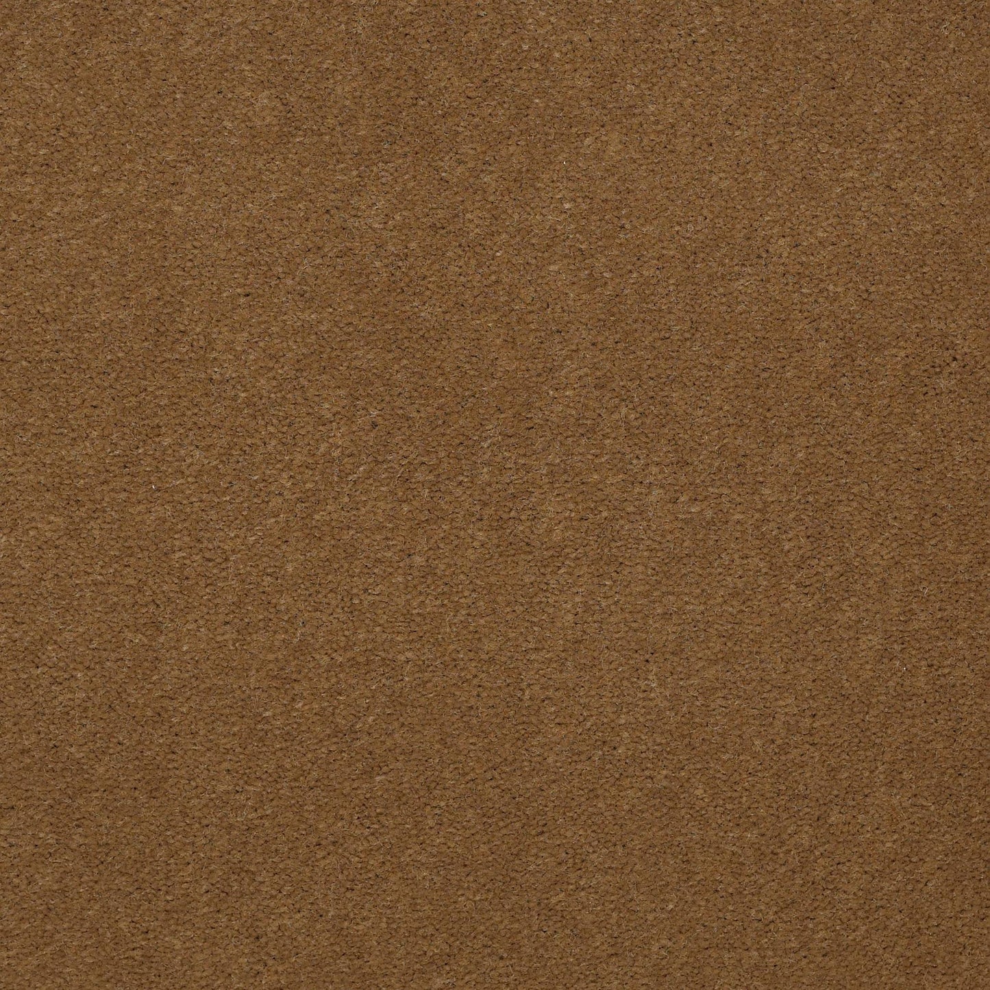 CUT PILE SOLID
