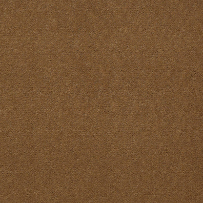 CUT PILE SOLID