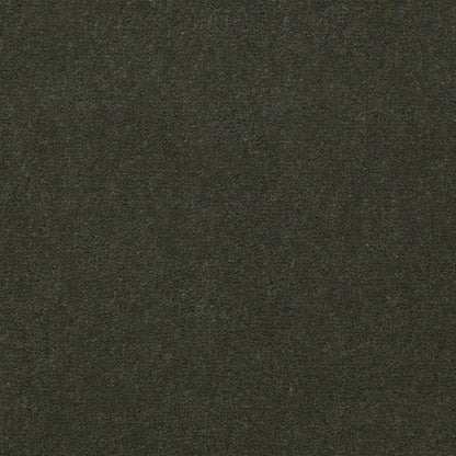 CUT PILE SOLID