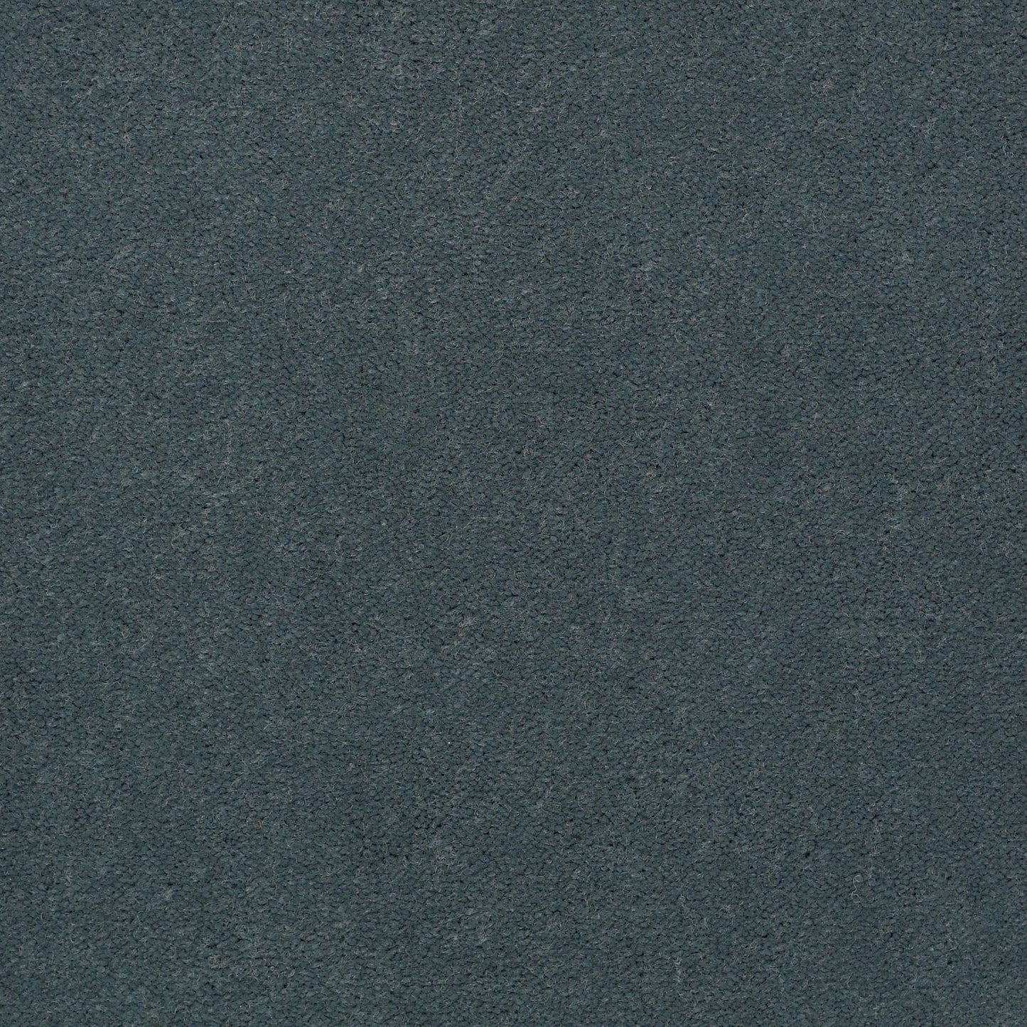 CUT PILE SOLID