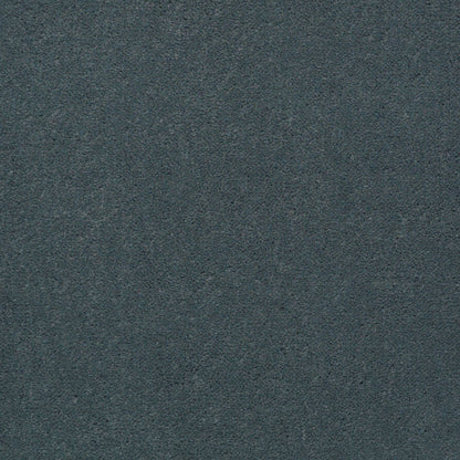 CUT PILE SOLID