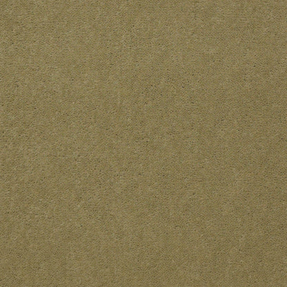 CUT PILE SOLID