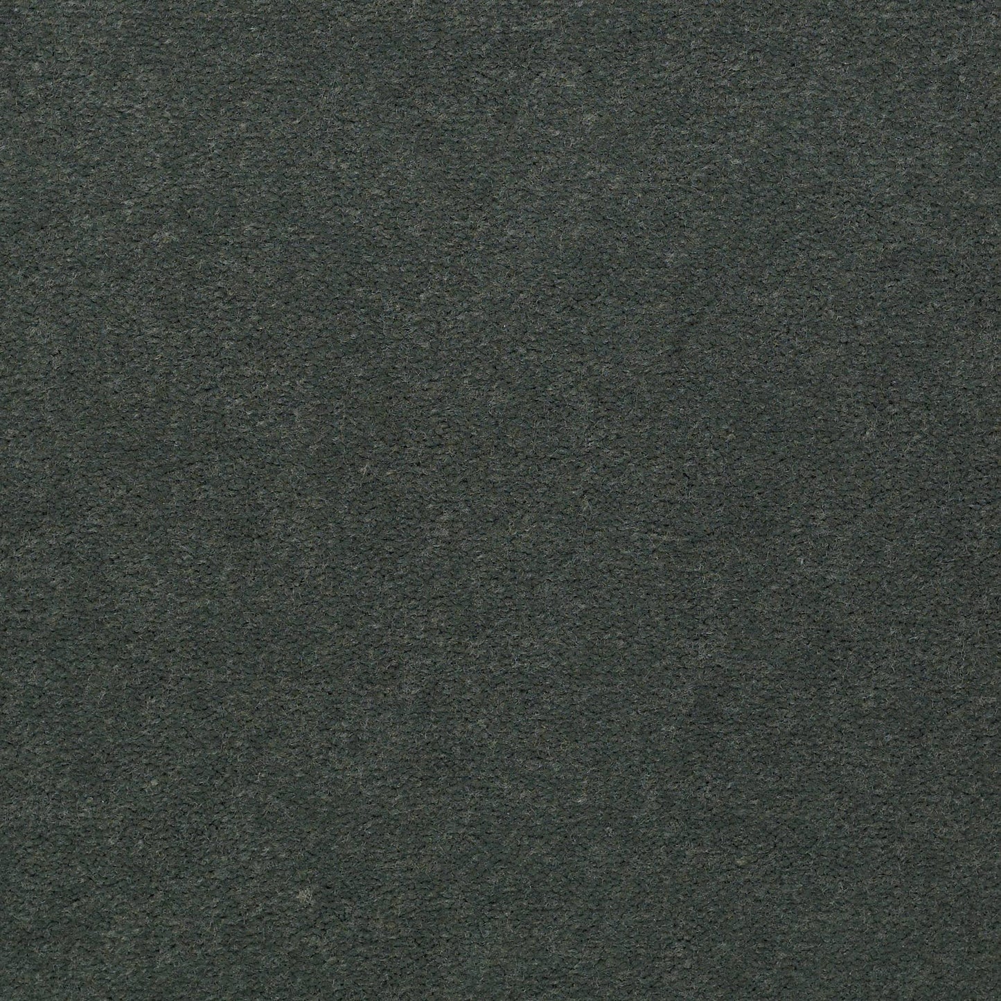 CUT PILE SOLID