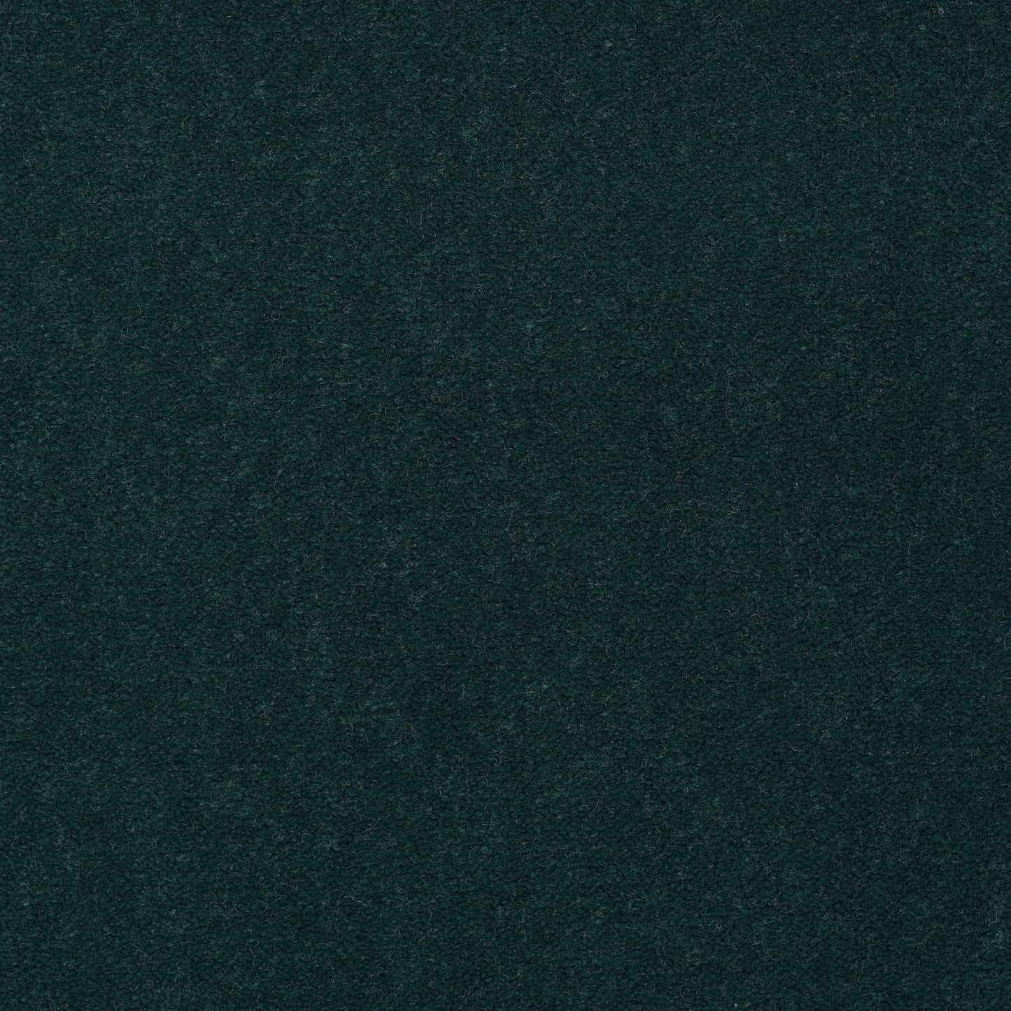 CUT PILE SOLID