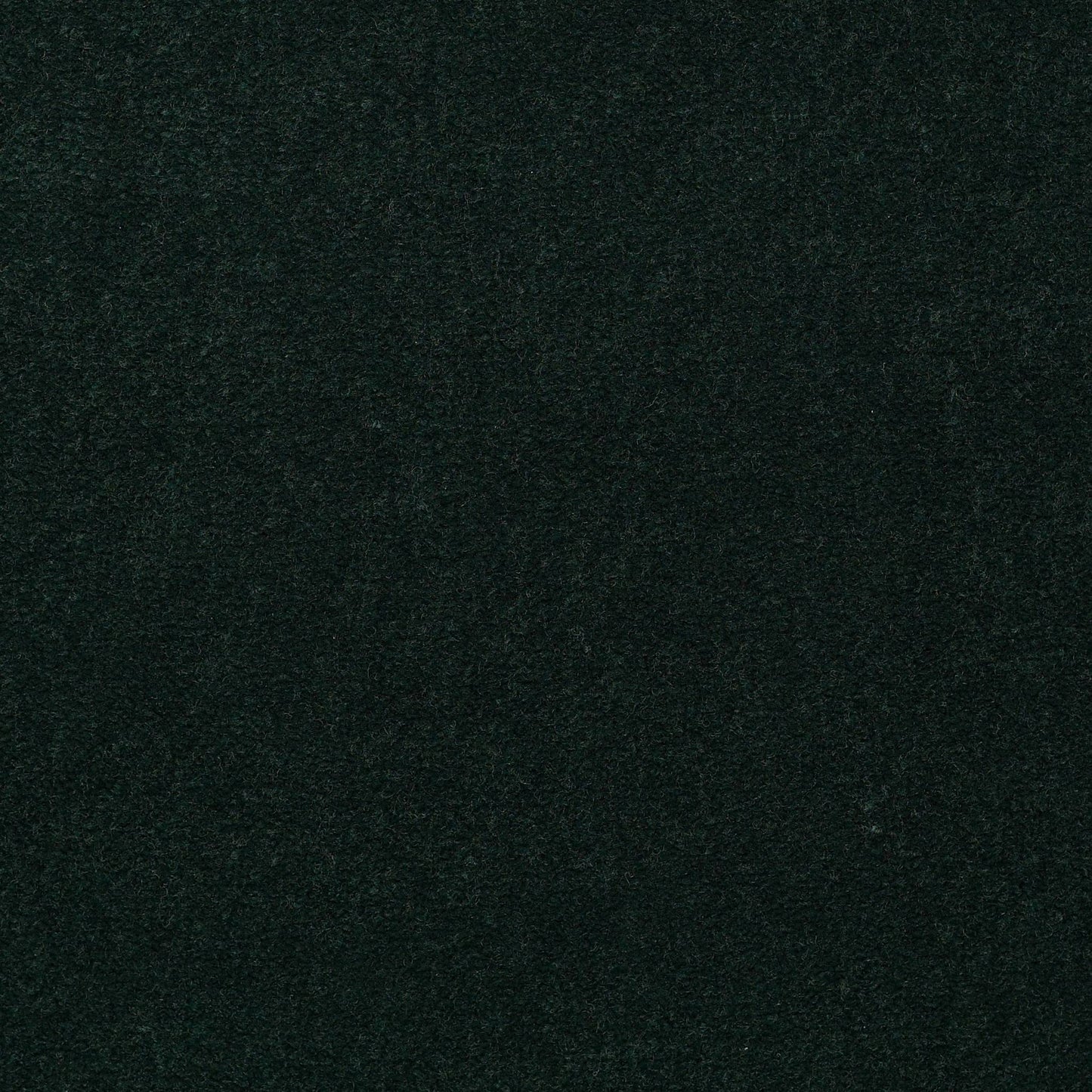 CUT PILE SOLID