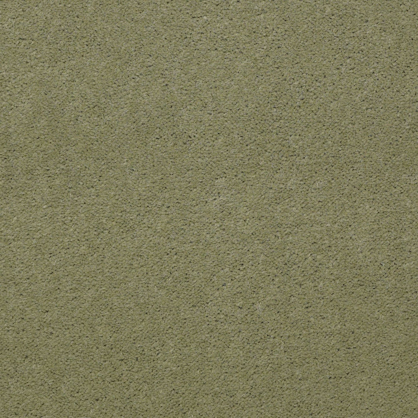CUT PILE SOLID