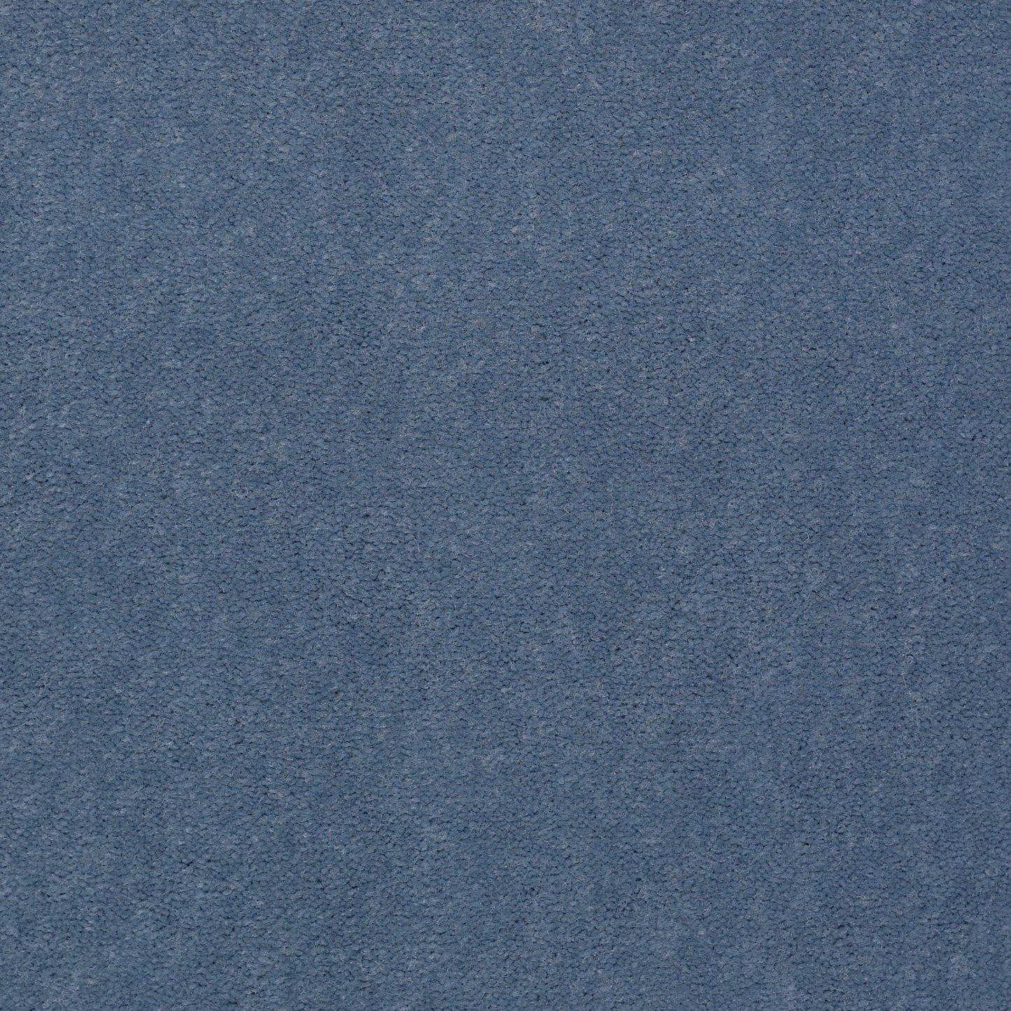 CUT PILE SOLID