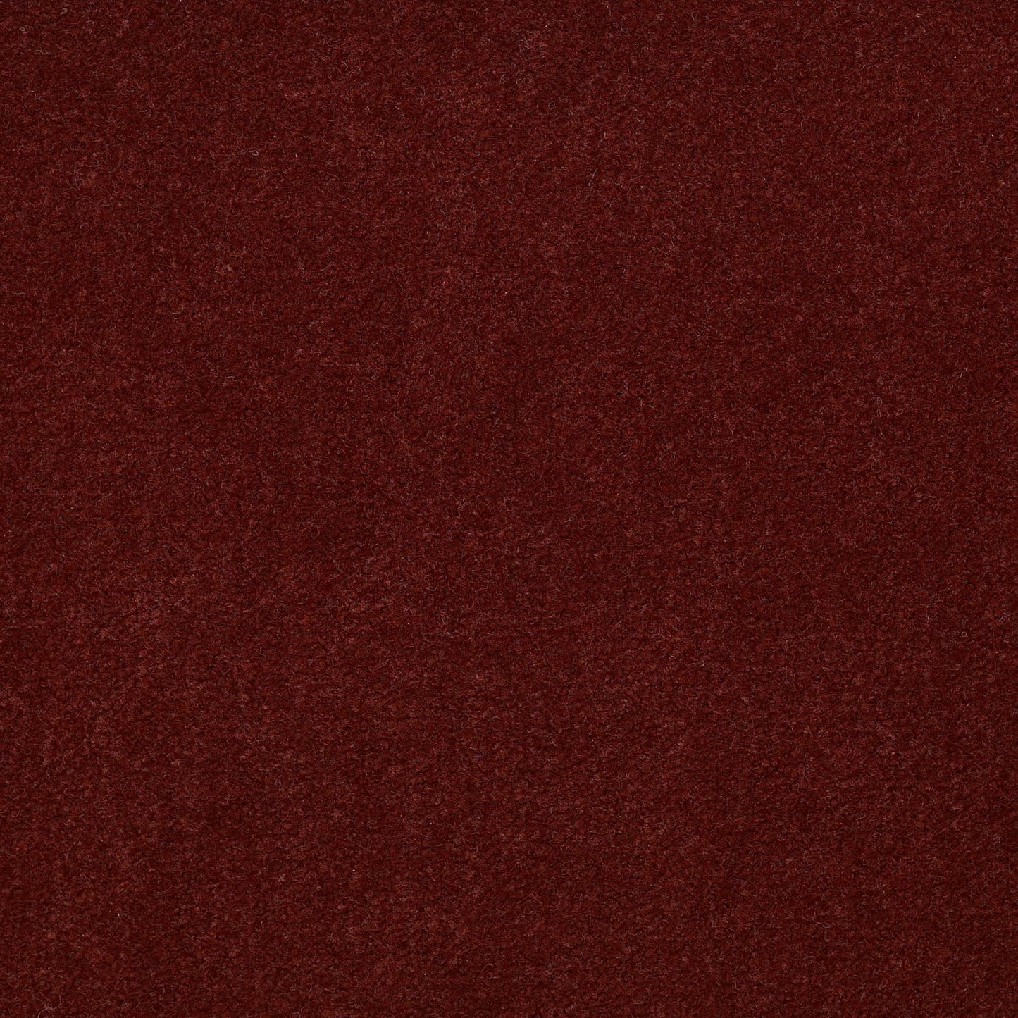 CUT PILE SOLID