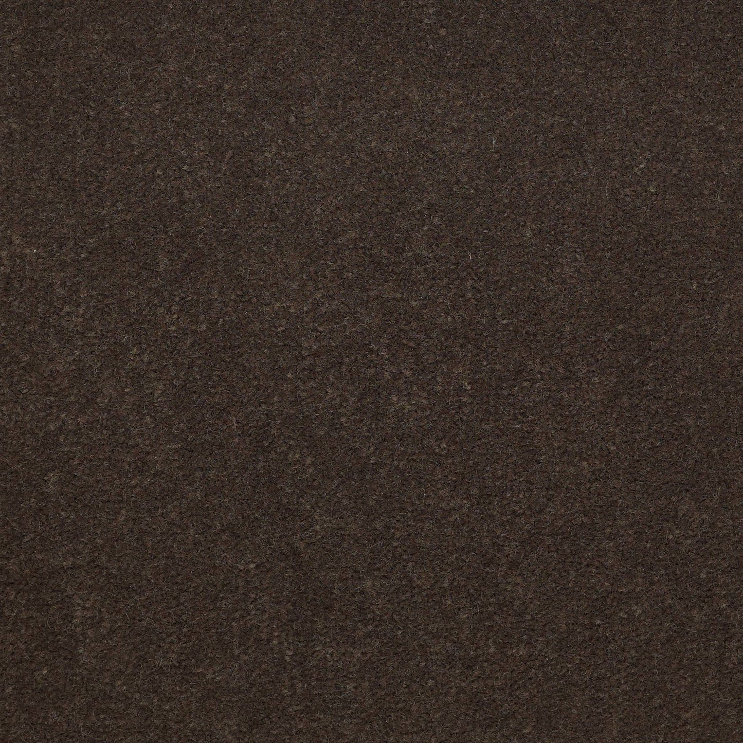 CUT PILE SOLID