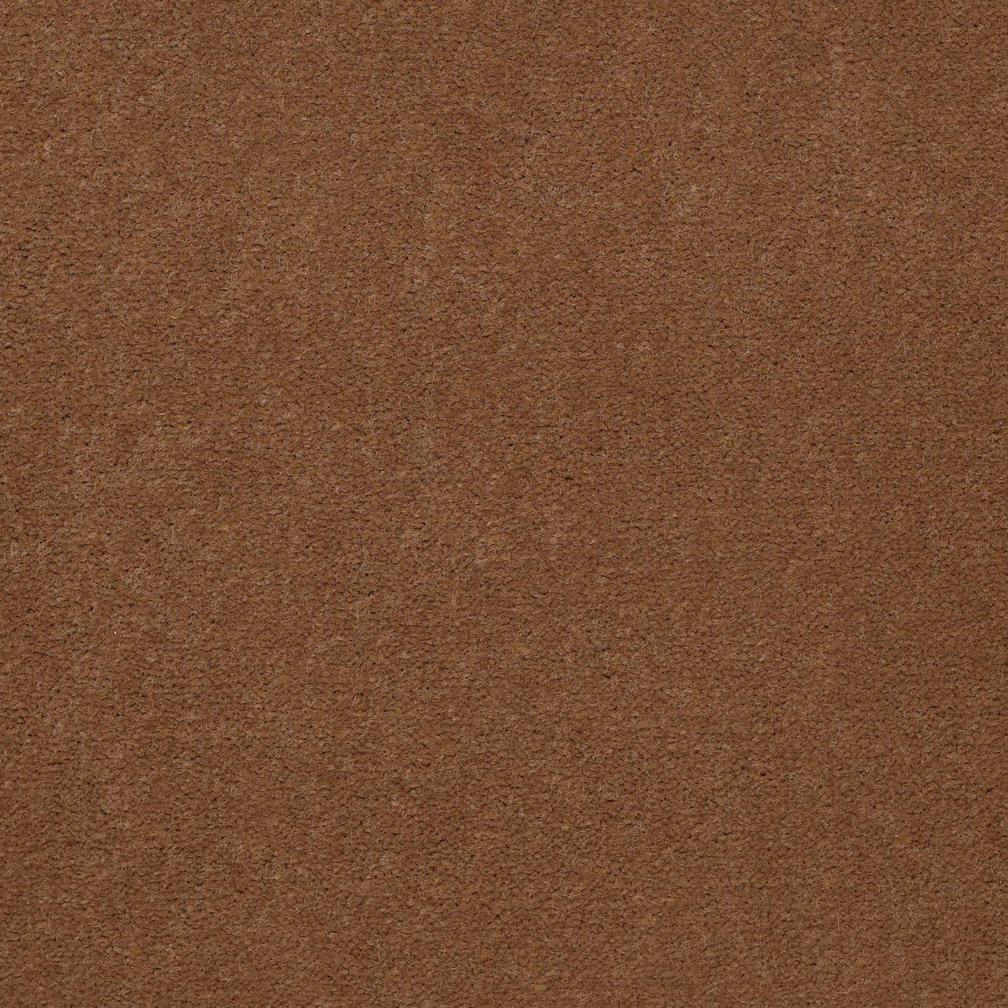 CUT PILE SOLID