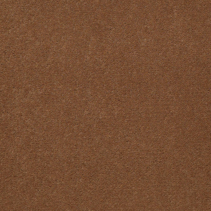 CUT PILE SOLID