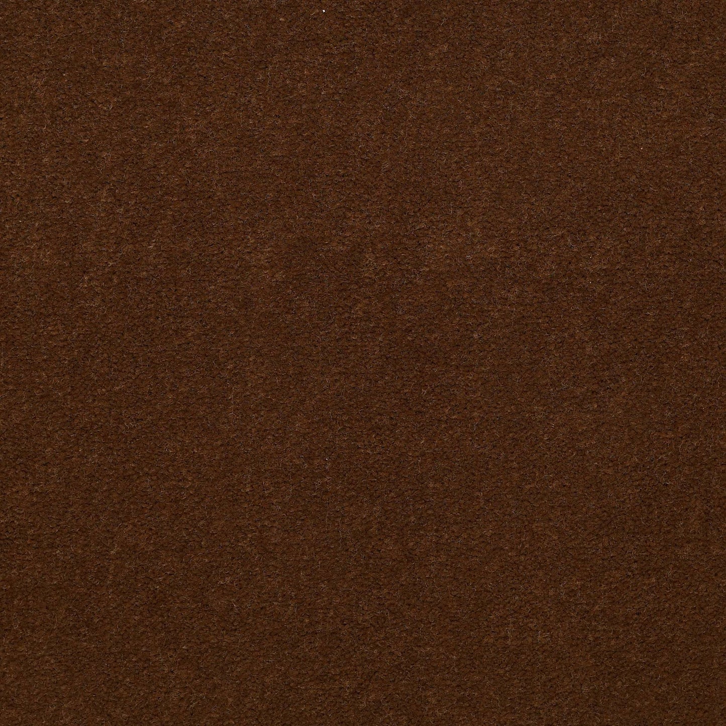 CUT PILE SOLID
