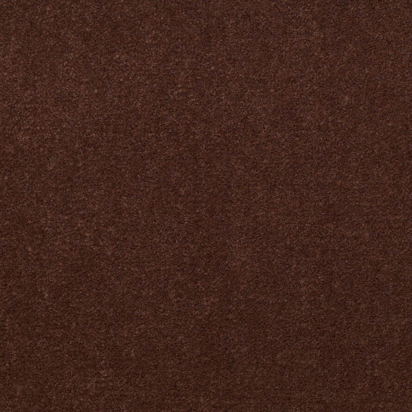 CUT PILE SOLID