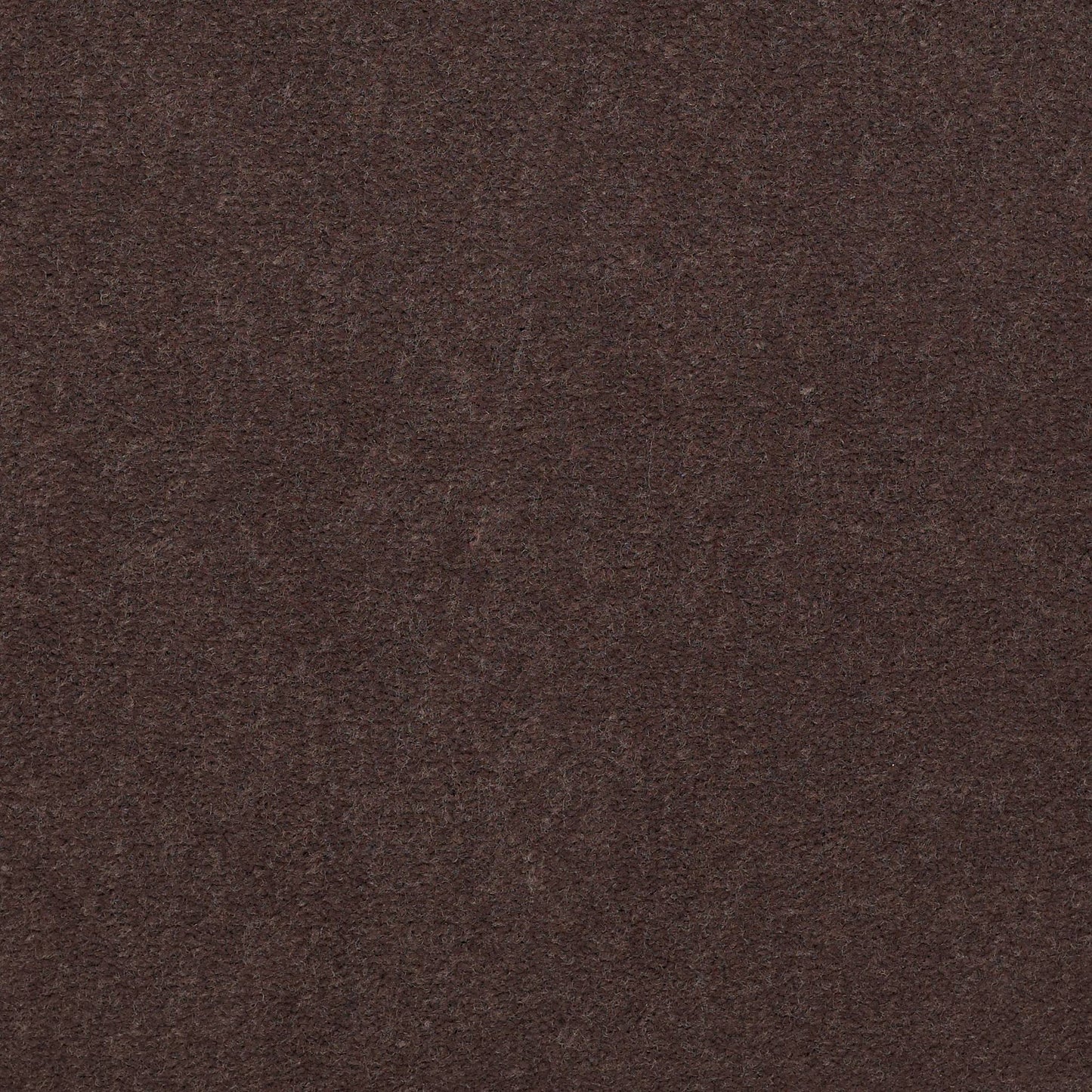CUT PILE SOLID