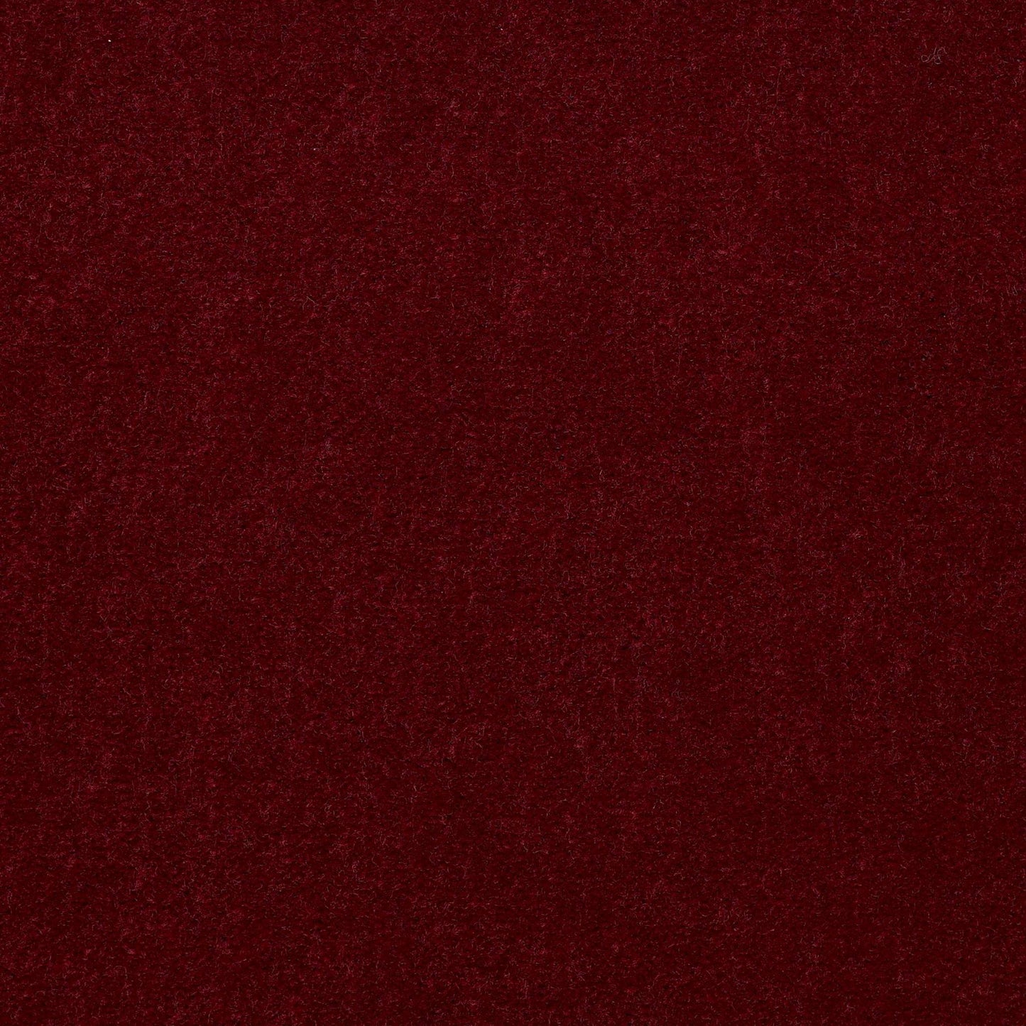 CUT PILE SOLID