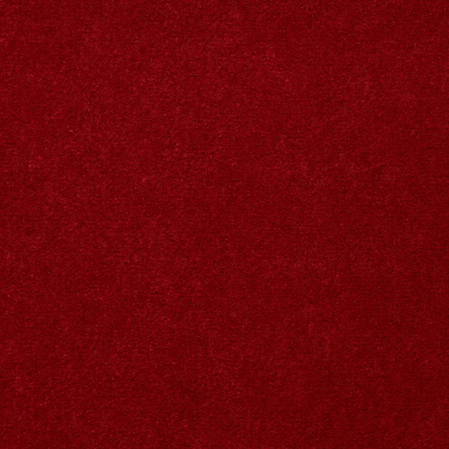 CUT PILE SOLID