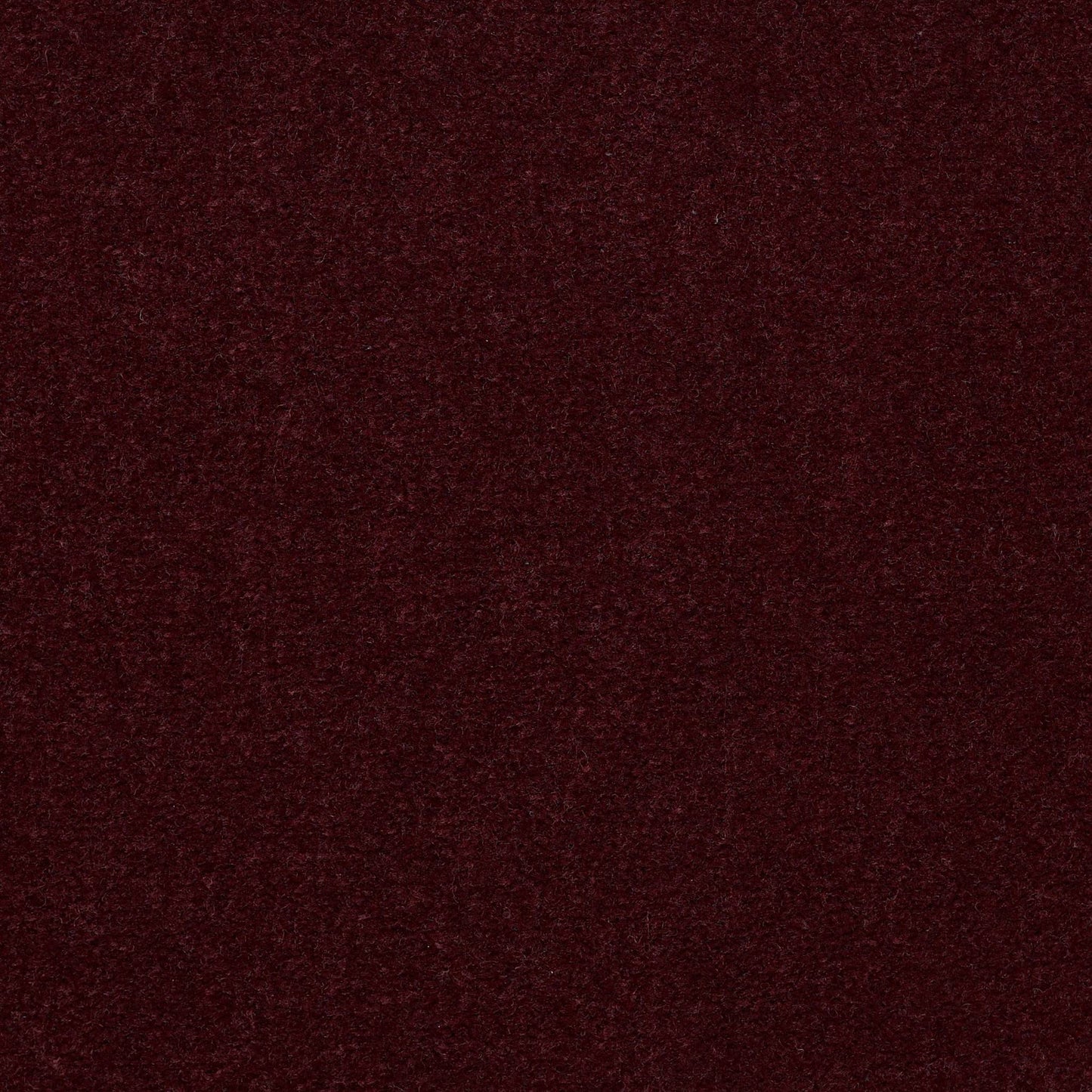 CUT PILE SOLID