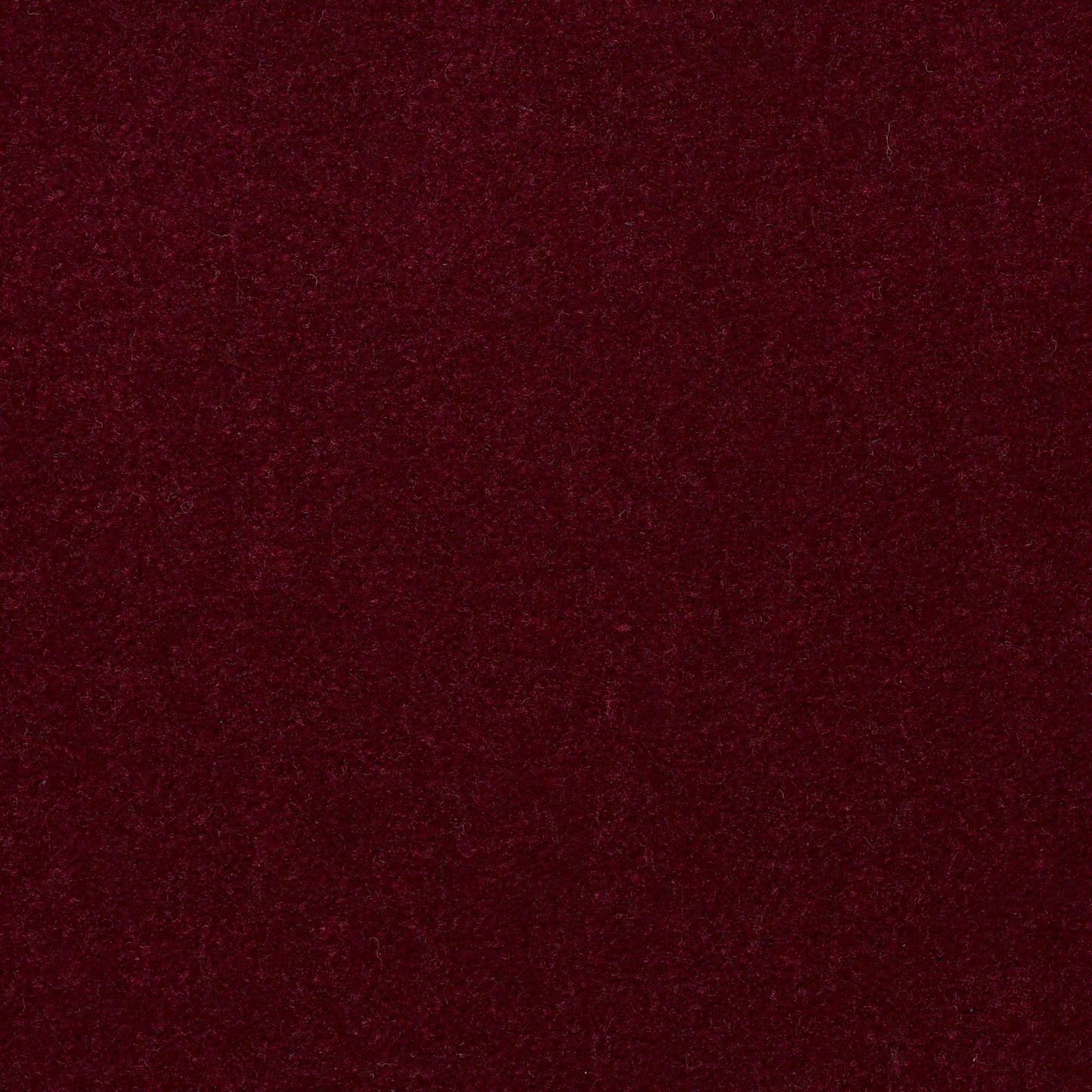 CUT PILE SOLID