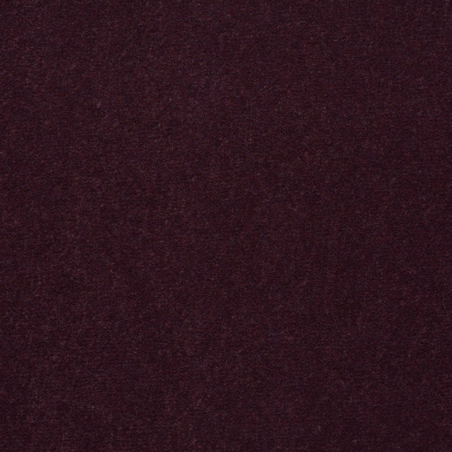 CUT PILE SOLID