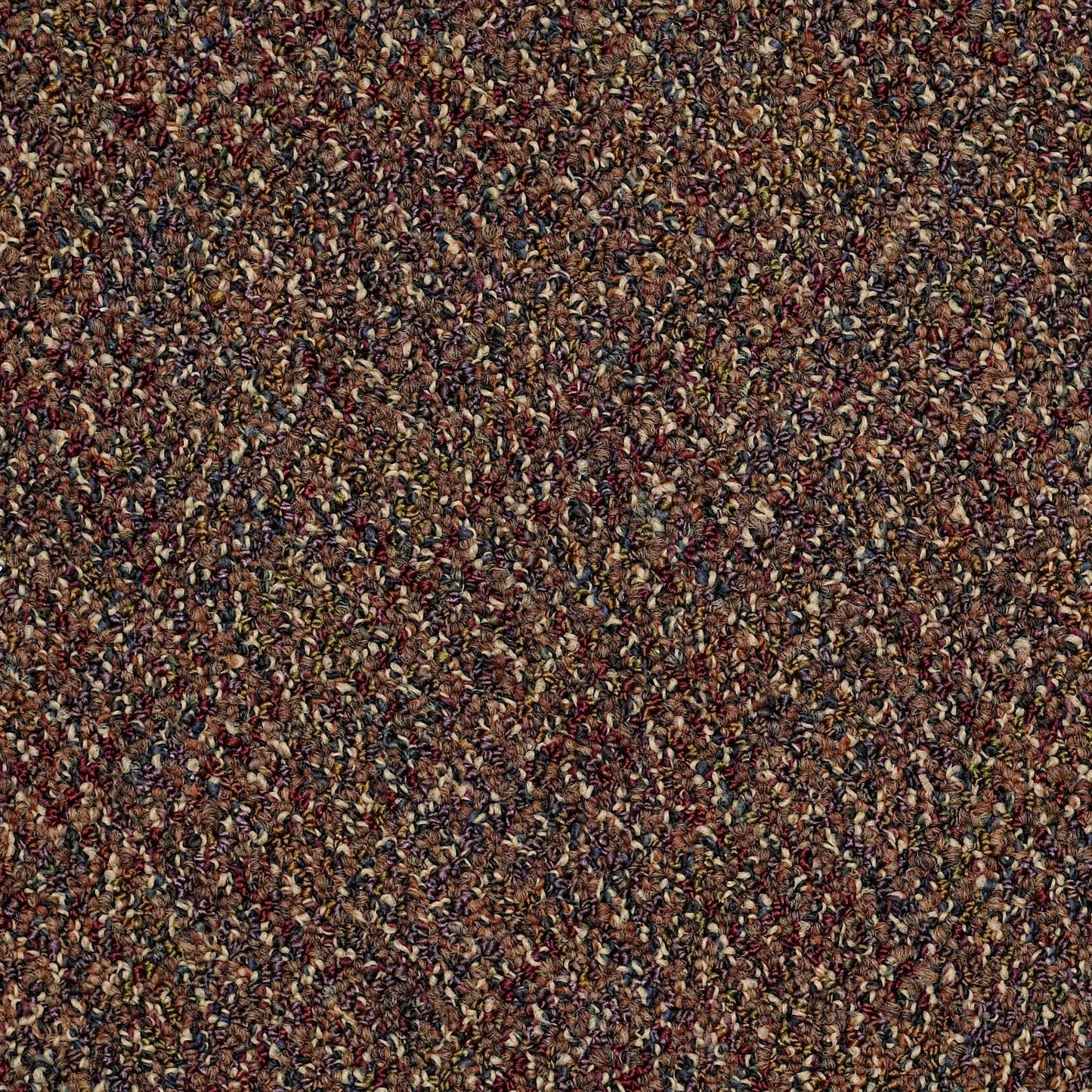 GRAPHICS   HS LOOP