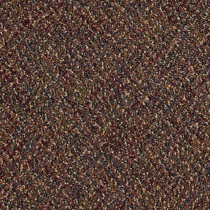 GRAPHICS   HS LOOP