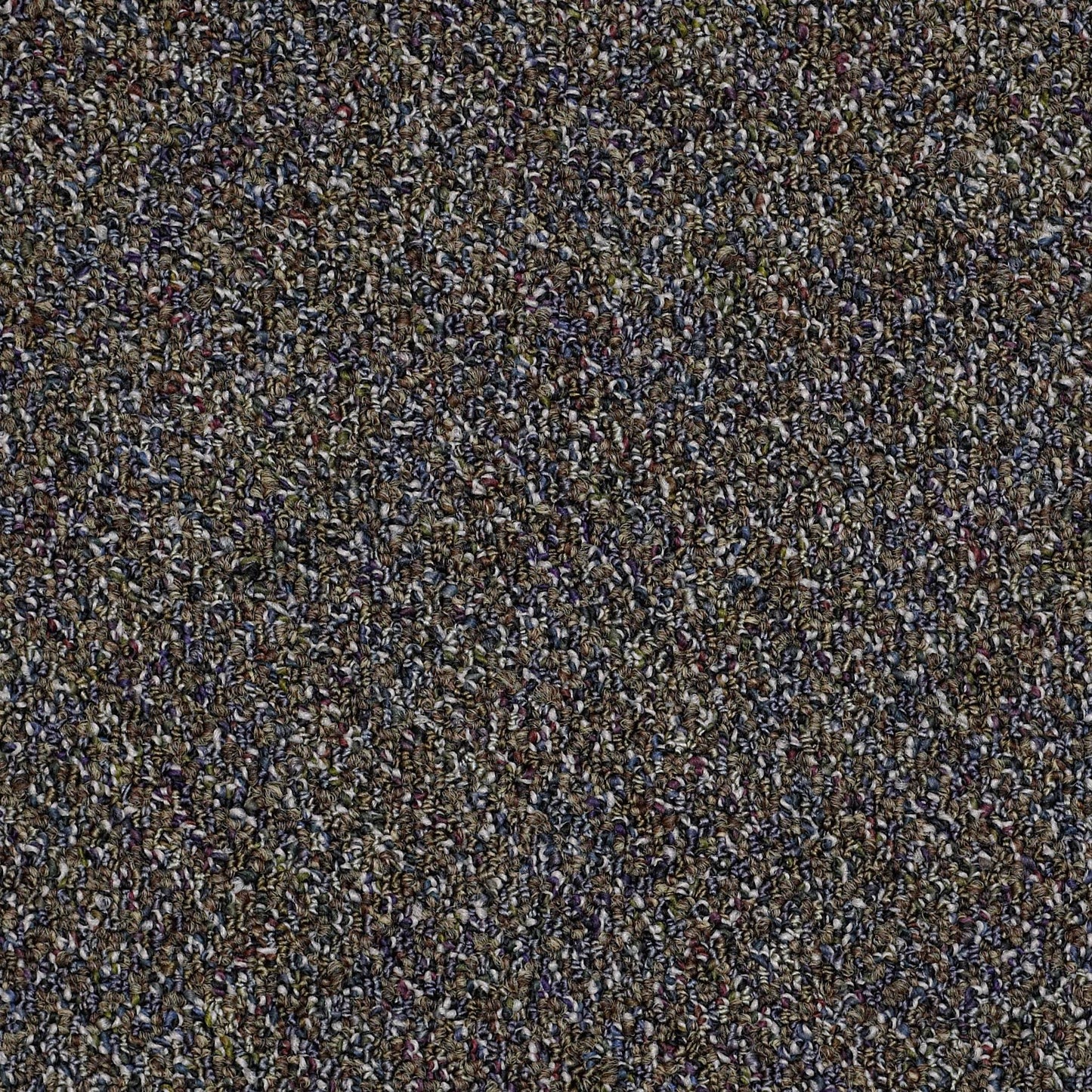 GRAPHICS   HS LOOP
