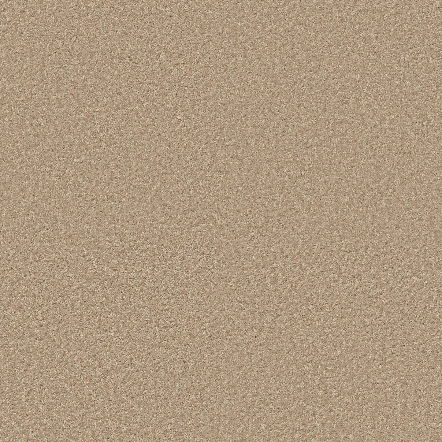 TEXTURE BCF