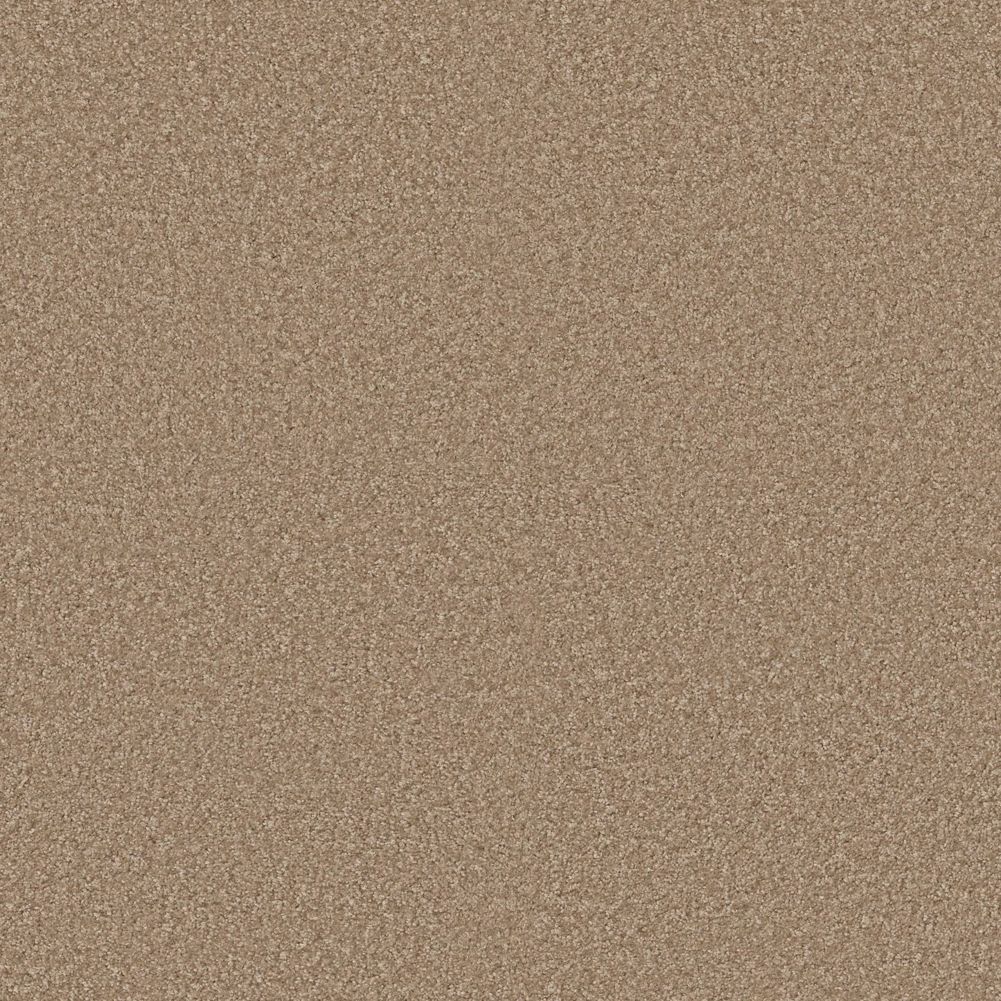 TEXTURE BCF