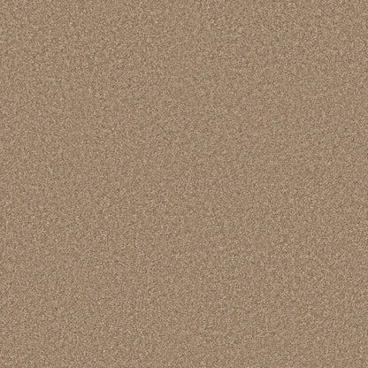 TEXTURE BCF