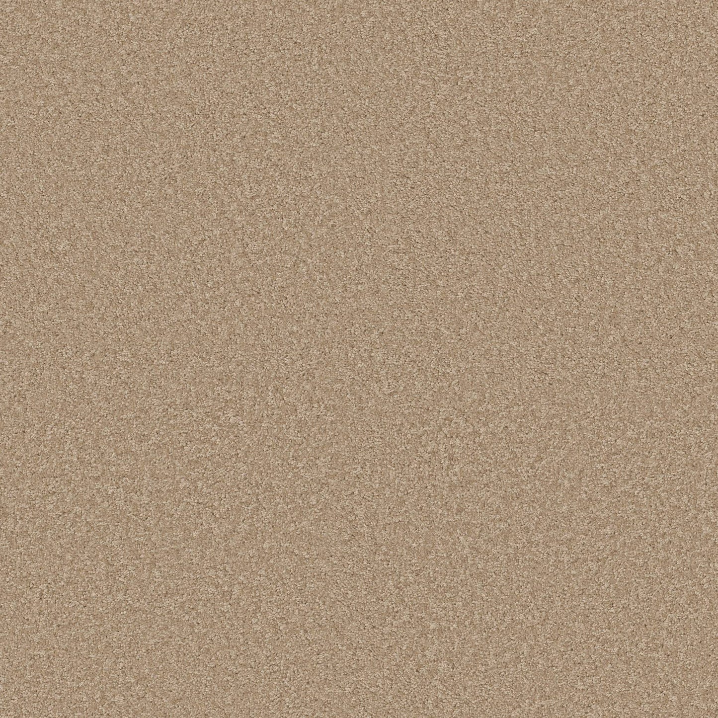 TEXTURE BCF