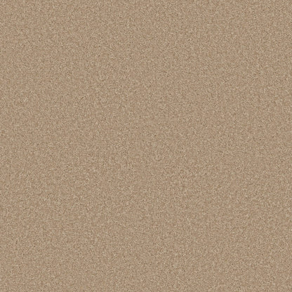 TEXTURE BCF