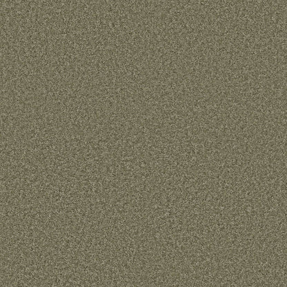 TEXTURE BCF