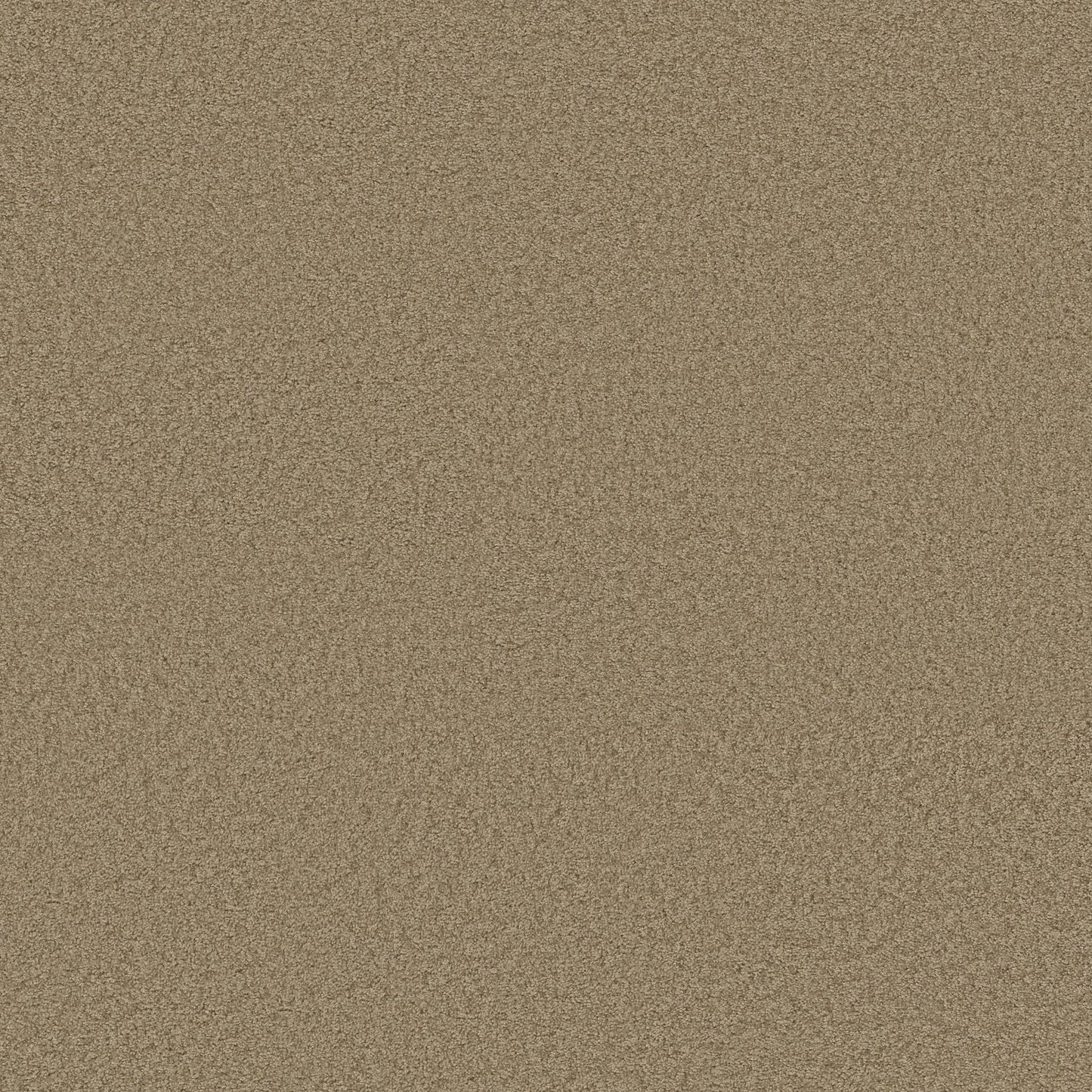 TEXTURE BCF