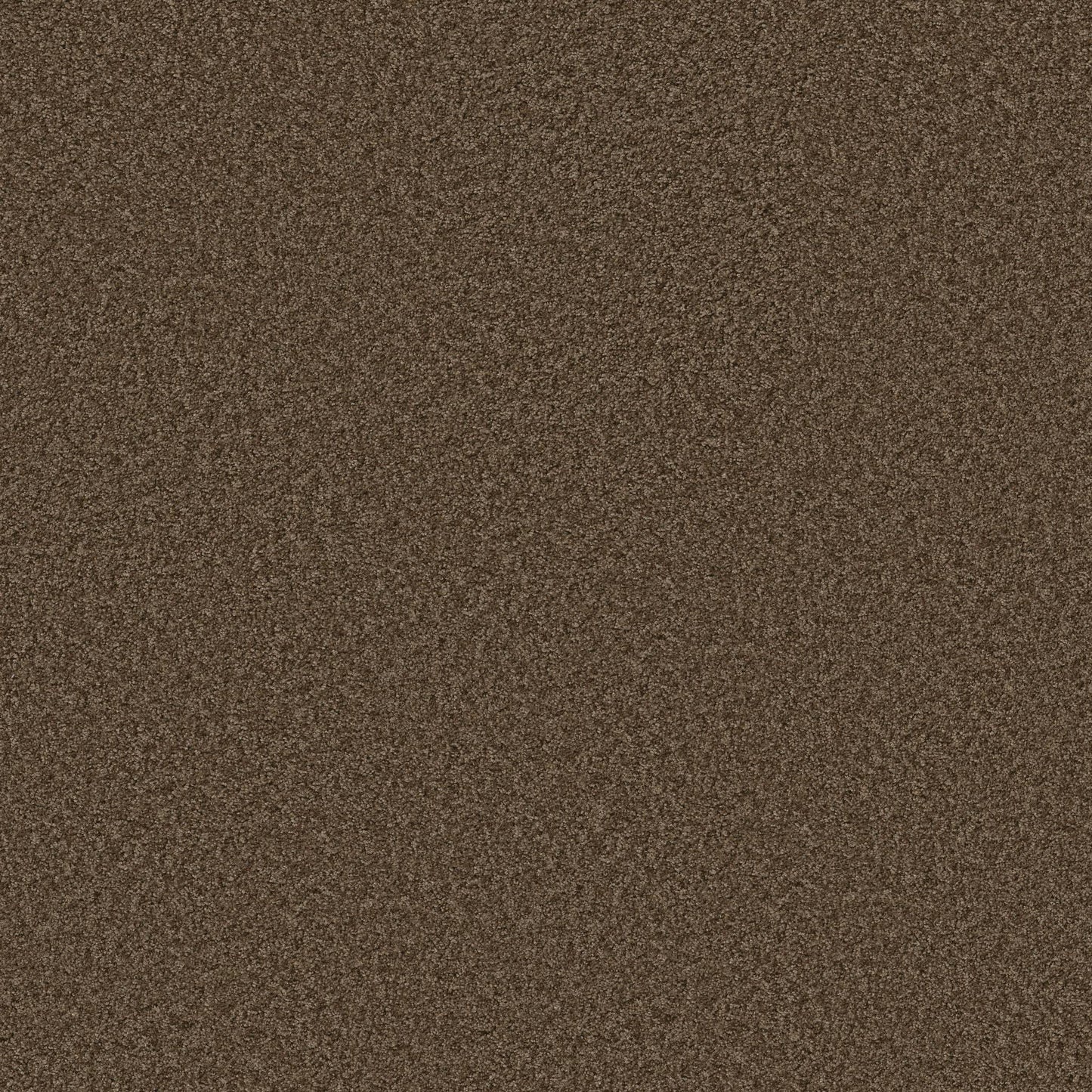 TEXTURE BCF