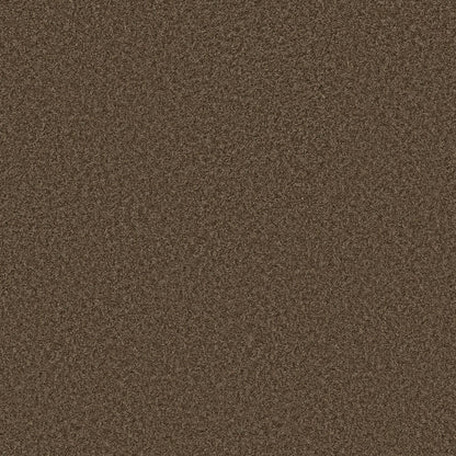 TEXTURE BCF