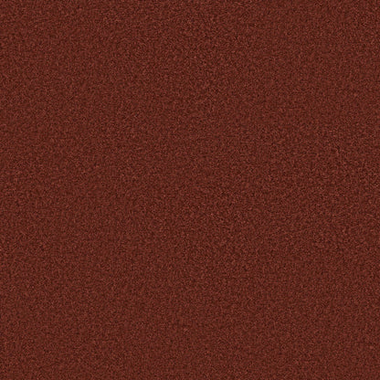 TEXTURE BCF