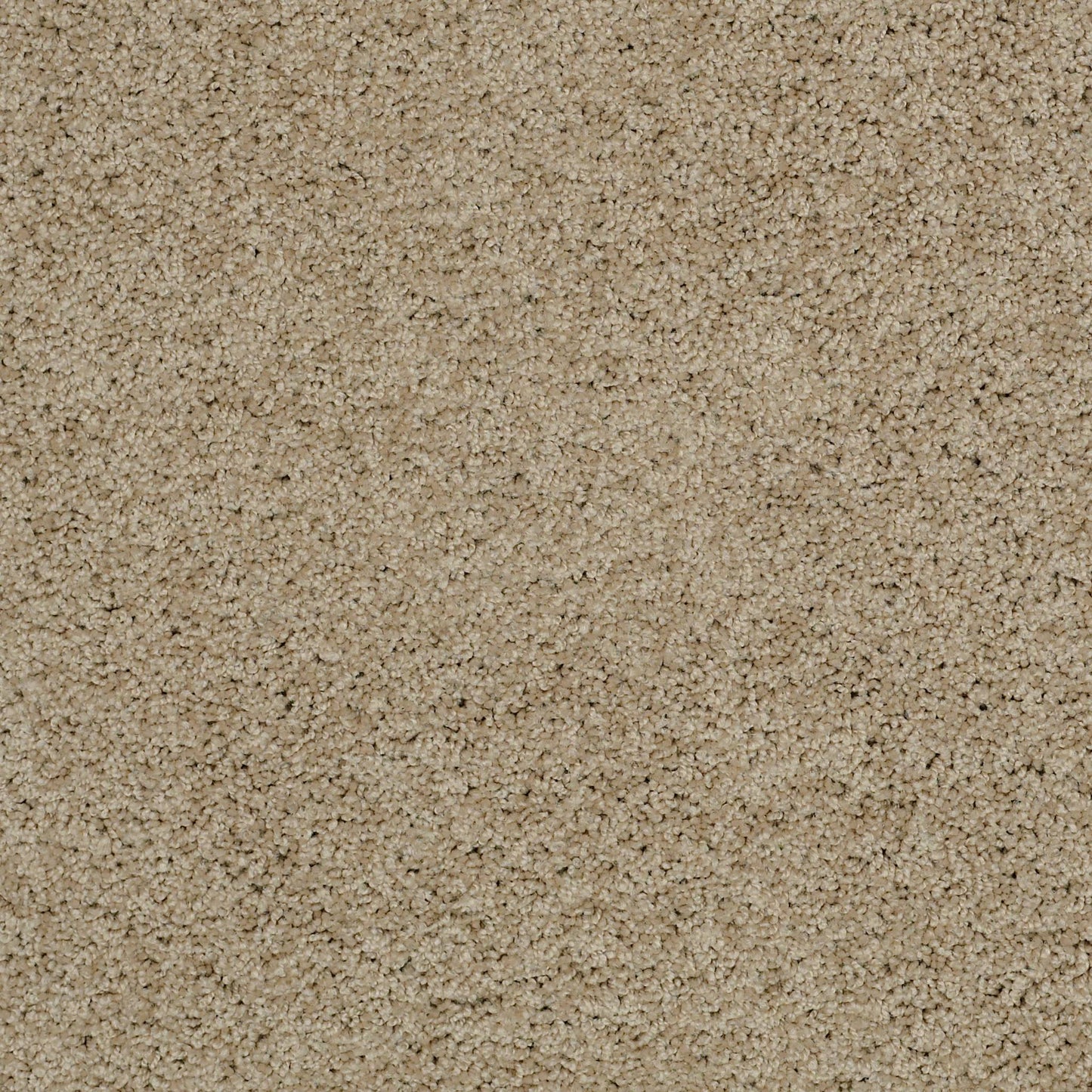 TEXTURE BCF