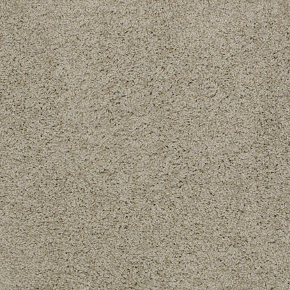 TEXTURE BCF