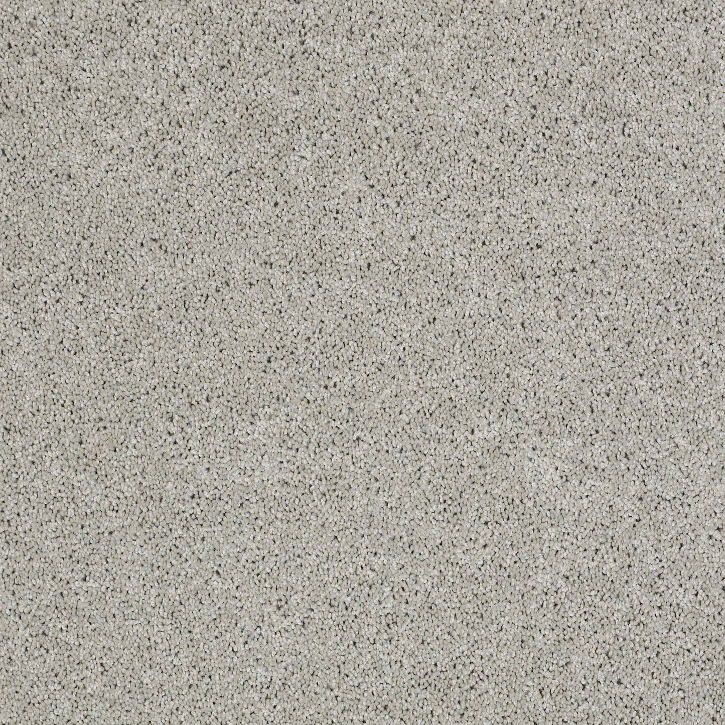 TEXTURE BCF