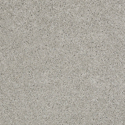 TEXTURE BCF