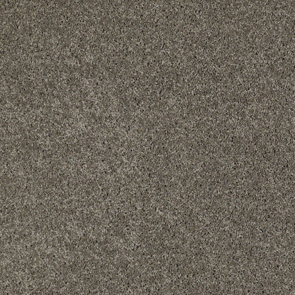 TEXTURE BCF