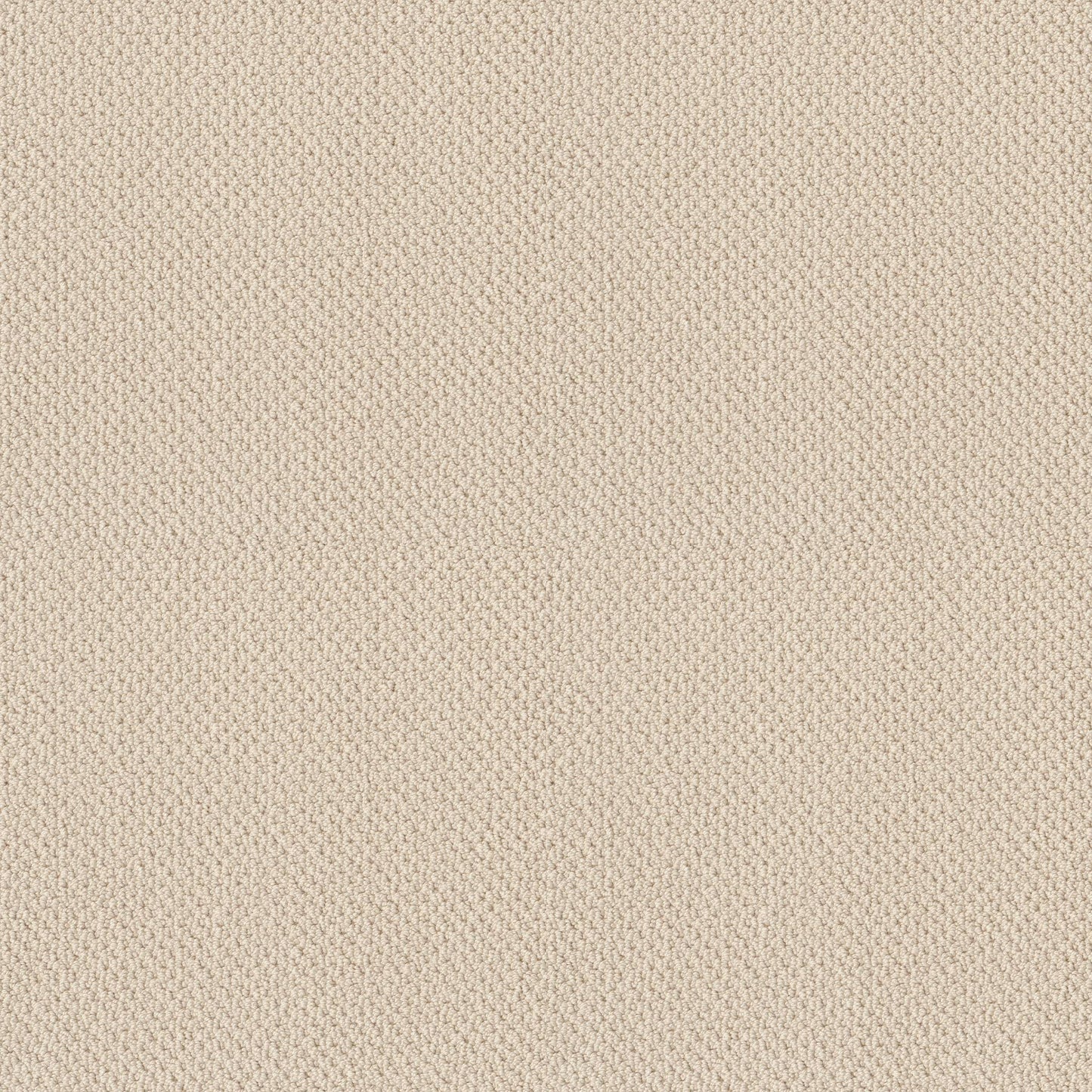 BERBER NYLON LOOP