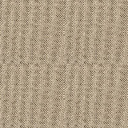 BERBER NYLON LOOP