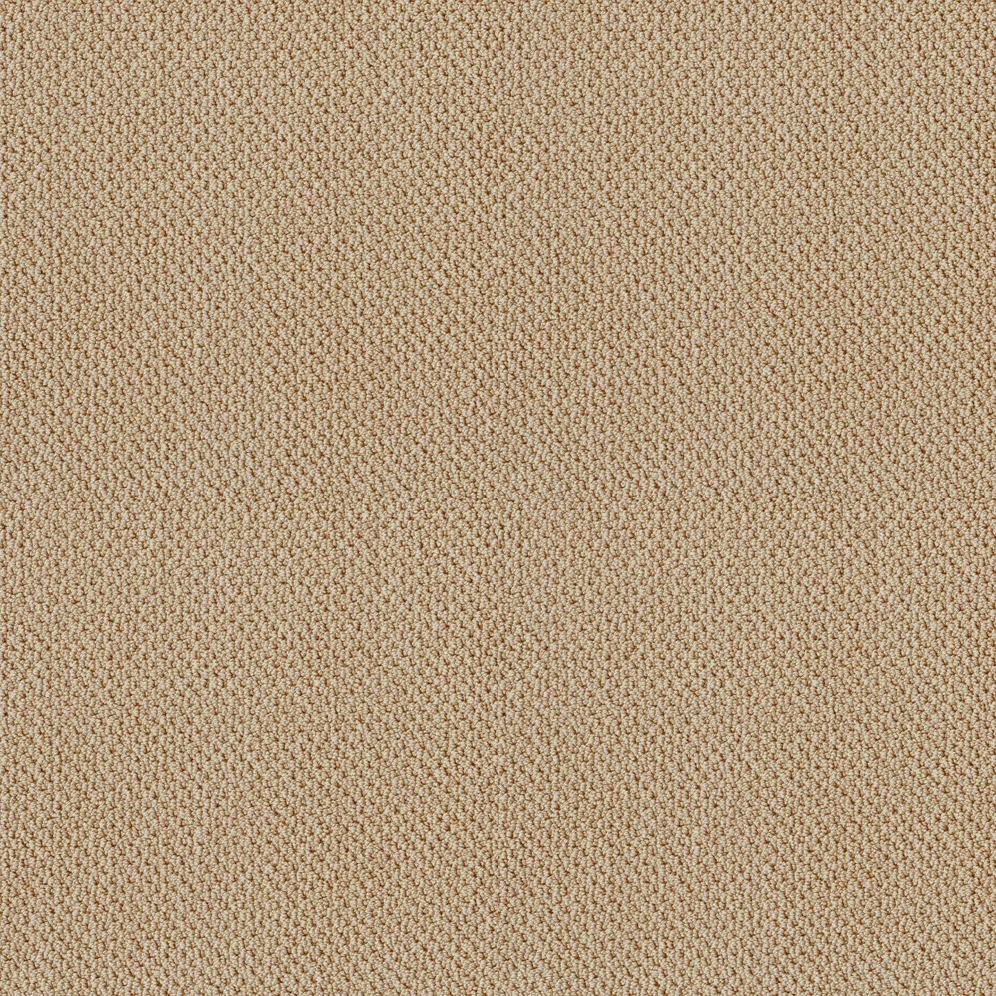 BERBER NYLON LOOP