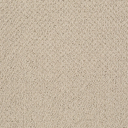 BERBER NYLON LOOP