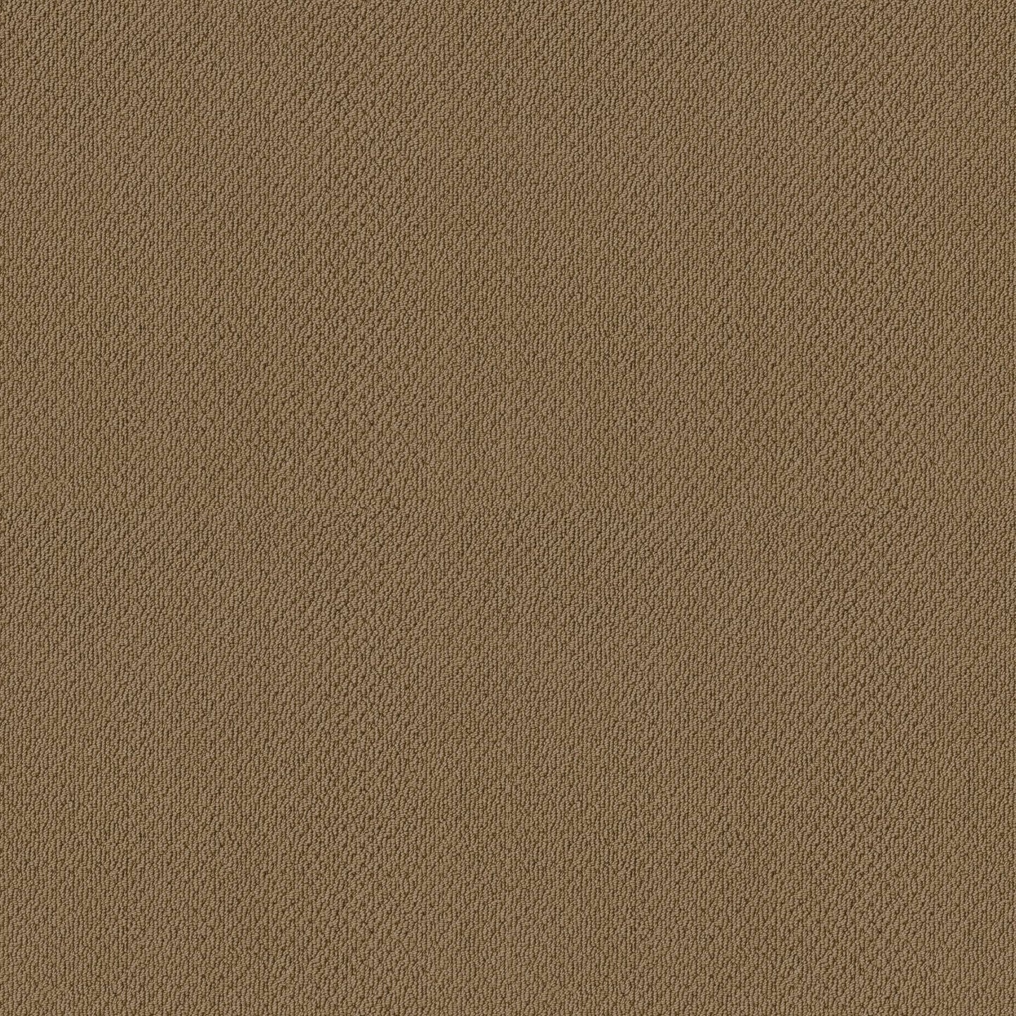 BERBER NYLON LOOP