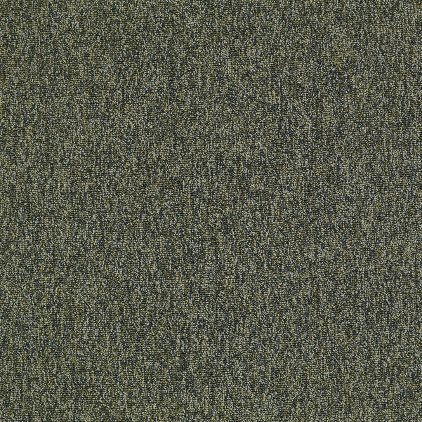 LEVEL LOOP