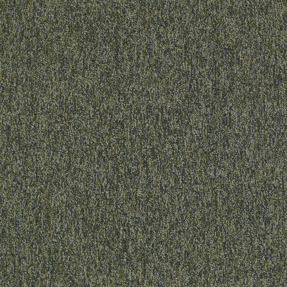 LEVEL LOOP